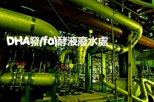 DHA發(fā)酵液廢水處理難題？探索高效低耗綠色新路徑！